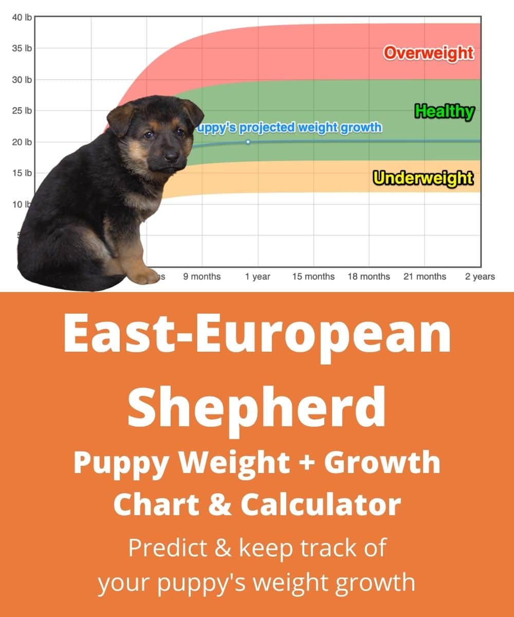 east-european-shepherd Puppy Weight Growth Chart